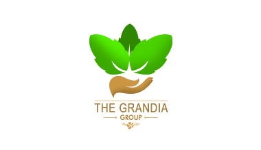 Marketing Executive di The Grandia Group